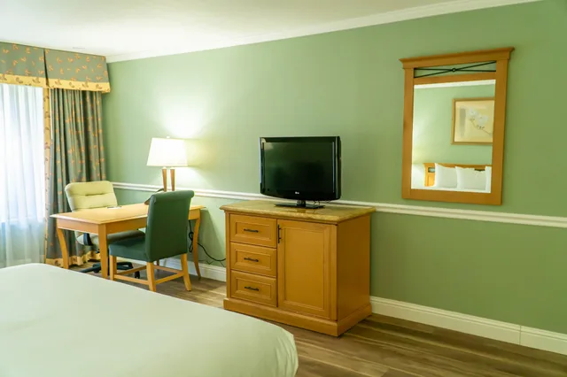 غرفة تنفيذية بسرير كينج، Hotel Piccadilly 2/3
