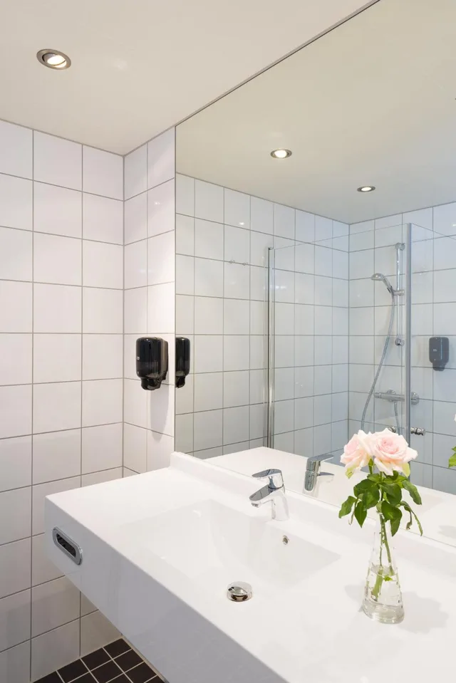 غرفة سوبيريور بسريرين منفصلين بإطلالة على المدينة، Fru Haugans Hotel 5/6