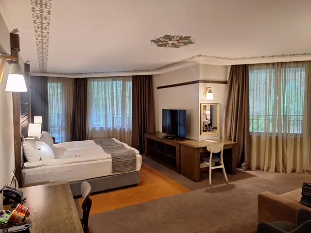 استوديو مع أريكة، Hot Springs Medical & Spa Hotel 2/6