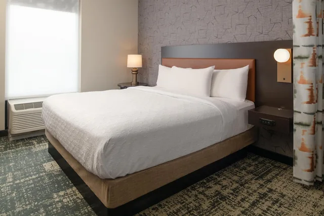 Studio, Suite, King Bed, Sofa, Home2 Suites By Hilton Denver/Highlands Ranch 4/10