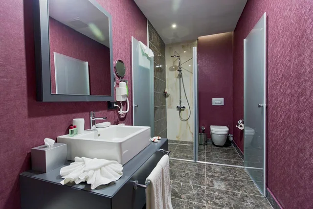 غرفة اقتصادية بسرير مزدوج، Euphoria Batumi Convention And Casino Hotel 2/3