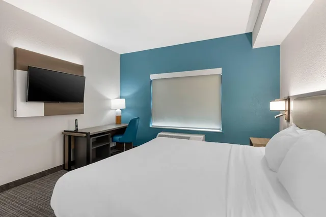 جناح بسرير كينج، Comfort Inn & Suites Camden, SC 2/3