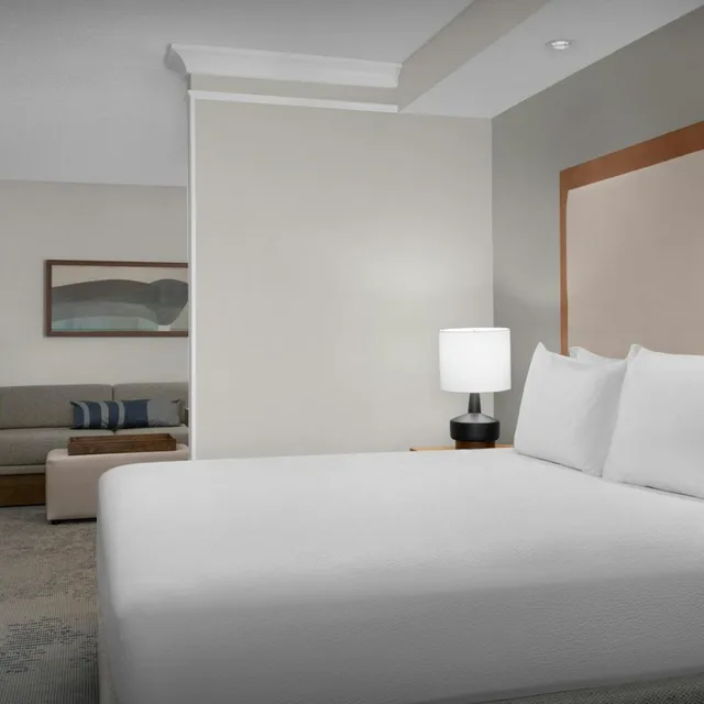 جناح بسرير كينج مع سرير سحّاب إضافي مع أريكة بحوض استحمام لذوي الإعاقة، Springhill Suites By Marriott Lynchburg Airport/University Area 1/4