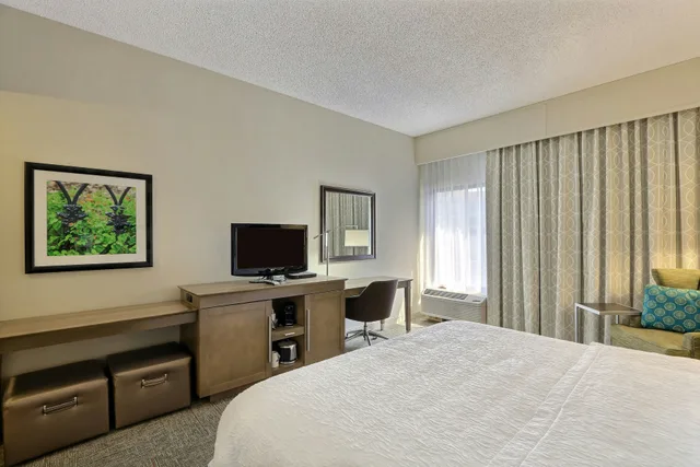 غرفة بسرير كينج لذوي الإعاقة، Hampton Inn Savannah-I-95 Richmond Hill 3/6