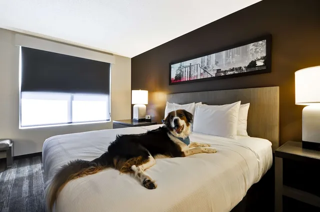 2 Bedrooms, Trio, Suite, 1 King and 2 Queen Beds, King and Queen Bed, Sofa, Hyatt House Atlanta Cobb Galleria 1/2