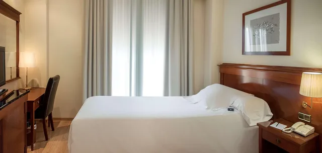 غرفة قياسية مفردة، Melia Plaza Valencia Hotel 1/1