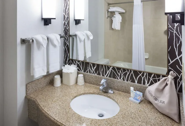 Evolution, Junior Suite, King Bed, Sofa، Hilton Garden Inn Nashville-Vanderbilt 3/3