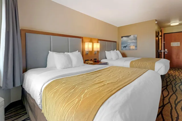 غرفة قياسية بسريرين كوين، Comfort Inn and Suites Market Airport 1/2