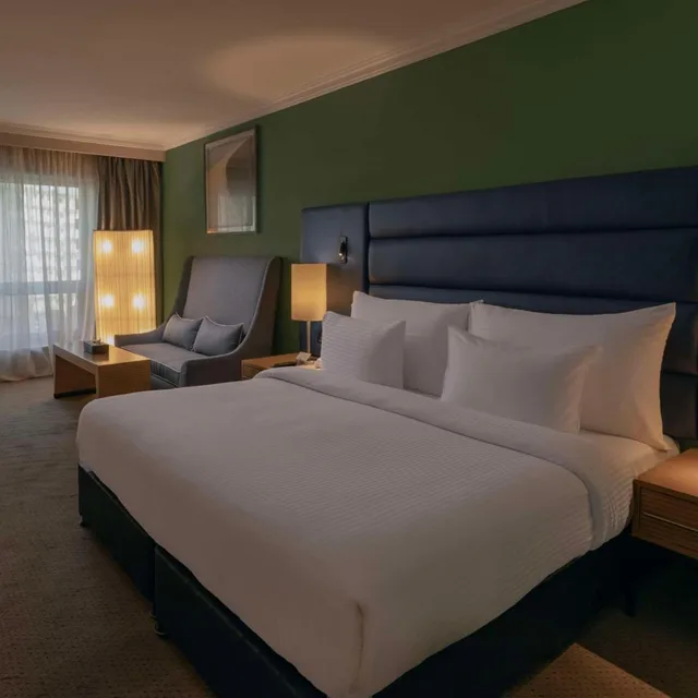 غرفة تنفيذية، Radisson Blu Heliopolis 4/10
