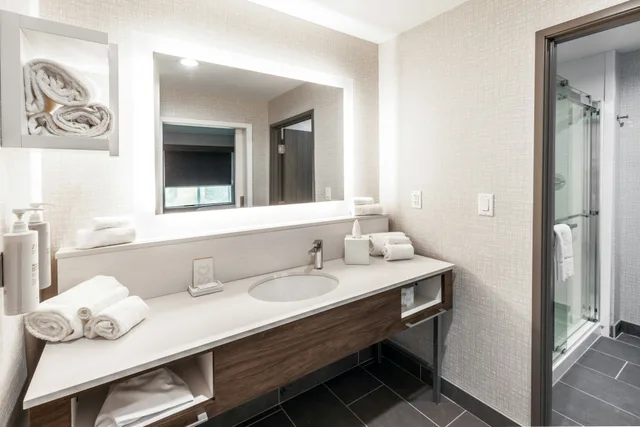 استوديو بسرير كينج لذوي الإعاقة، Hampton Inn & Suites Canyon, TX 2/4