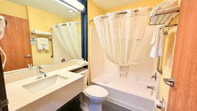 Room, Queen Bed, Accessible, Microtel Inn & Suites by Wyndham New Braunfels 7/10