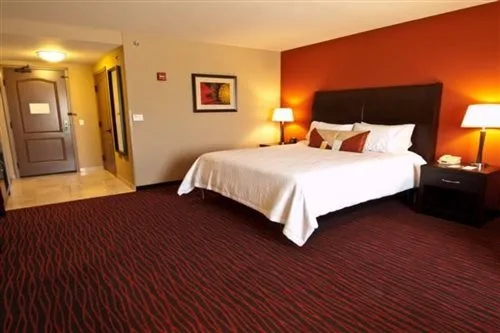 Suite, King Bed, Hilton Garden Inn Rapid City 1/2