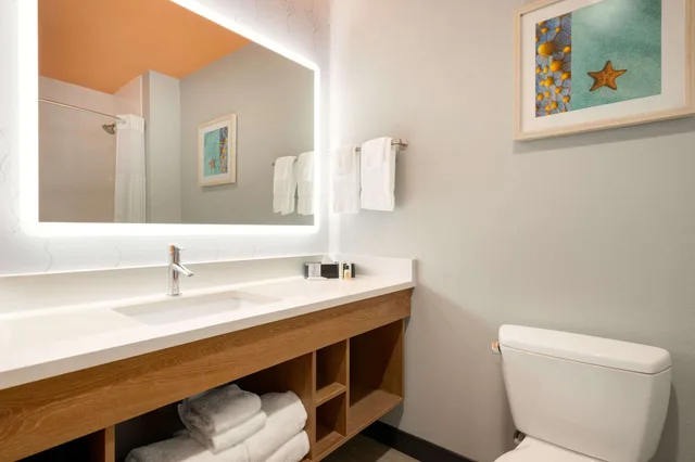 غرفة بسرير كينج لذوي الإعاقة، La Quinta Inn Suites By Wyndham San Antonio Seaworld Lafb 4/6