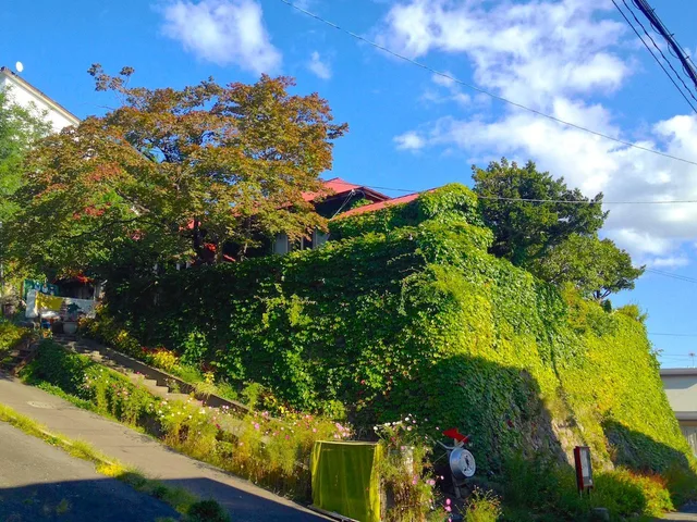 سكن مشترك مختلط أساسي بحمام مشترك، Otarunai Backpackers' Hostel Morinoki 1/1