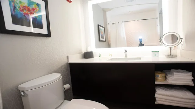 جناح بسرير كينج لذوي الإعاقة، Holiday Inn Hotel And Suites Joliet Southwest an IHG Hotel 1/1