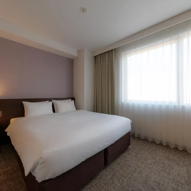 Deluxe, Double Bed, North Wing, JR KYUSHU HOTEL KAGOSHIMA 2/10
