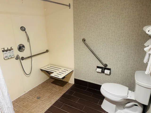 غرفة بسرير كينج لذوي الإعاقة، Holiday Inn Express Milton 1/2
