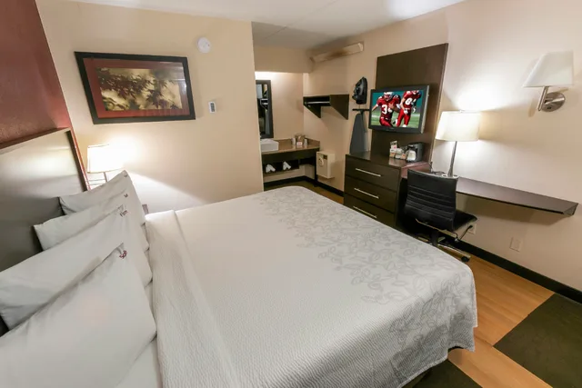 غرفة قياسية بسرير كينج، Red Roof Inn Plus Chicago - Willowbrook 1/4