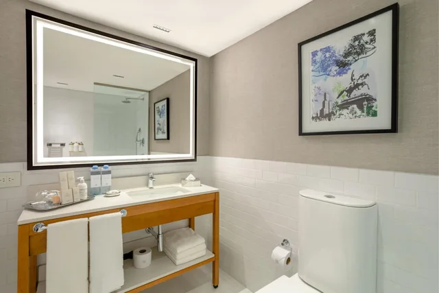 Guest Room, Superior, King Bed, Pool Access, Sheraton Buenos Aires Hotel And Convention Center 10/10