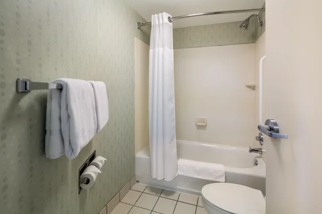 Studio, King Bed, Accessible, SpringHill Suites Pittsburgh Washington 1/2