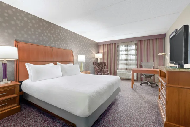 غرفة بسرير كينج، Hilton Garden Inn-Springfield Ma 2/4