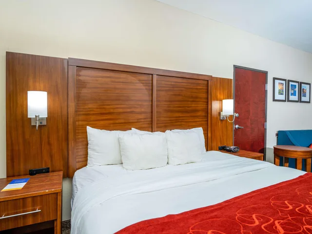 جناح بسرير كينج، Comfort Suites Old Town Spring, TX 3/10