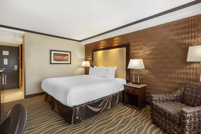 غرفة قياسية بسرير كينج، Best Western Plus Edmonton Airport 4/6