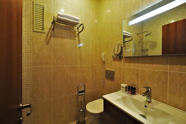 Standard, Queen Bed, Recital Park Hotel 4/4