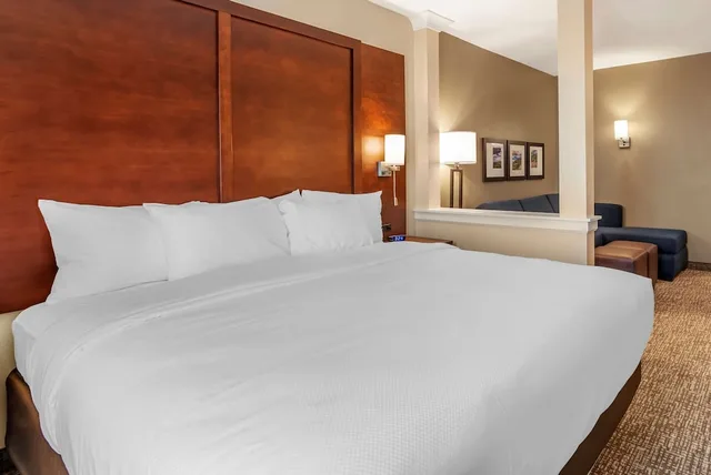 غرفة بسرير كينج مع أريكة لذوي الإعاقة، Comfort Inn & Suites Winchester VA 1/2