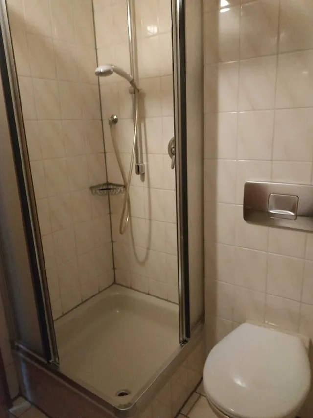 Retro, Compact, Double Bed, Balcony، Hotel Waldblick 3/3