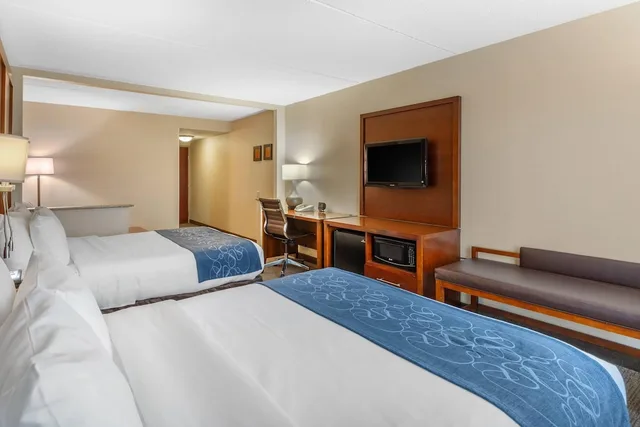 جناح بسريرين كوين مع أريكة، Comfort Suites Manassas Battlefield Park 5/10