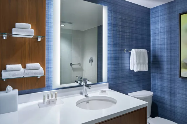 Suite, King Bed, Terrace View, Sofa, Residence Inn Washington Downtown Convention Center 5/6