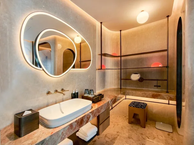 Hotel Indigo Xian High-Tech Zone by IHG, Xi'an 47/50