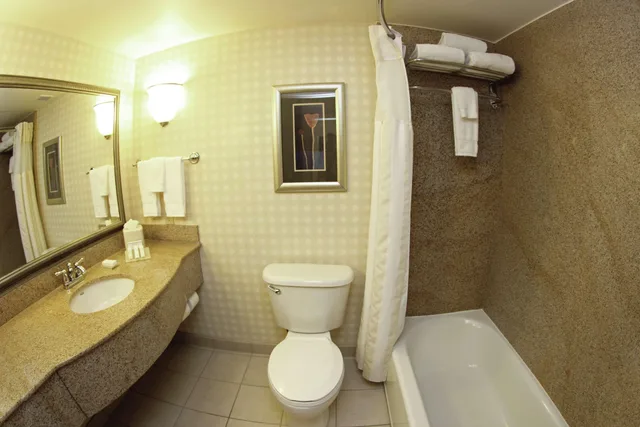 غرفة بسرير كينج لذوي الإعاقة، Hilton Garden Inn Jacksonville-Orange Park 3/3