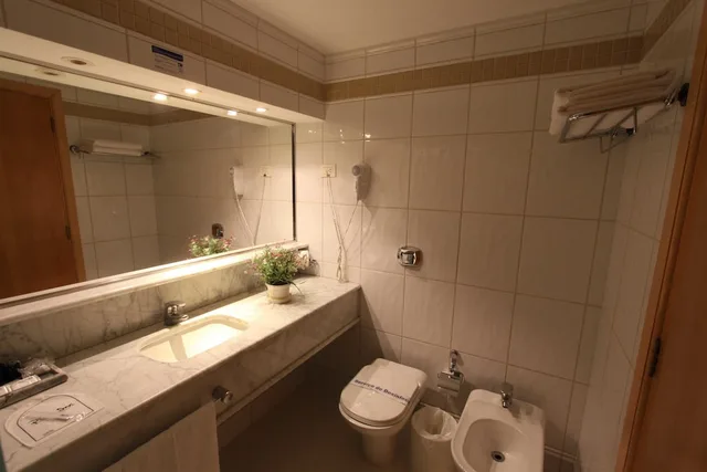 غرفة تنفيذية بسرير مزدوج وسرير فردي، Hotel Michelangelo 3/3