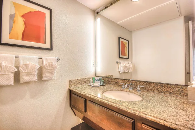 ambassador 1 king bed agave suite 1.5 bath، Hilton Phoenix Resort at the Peak 4/4