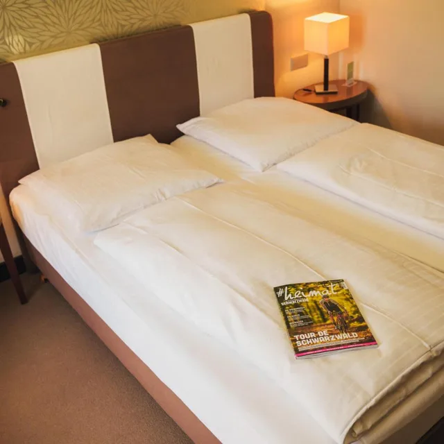 Plus, Economy, Double Bed، Ritter Durbach Hotel 1/9