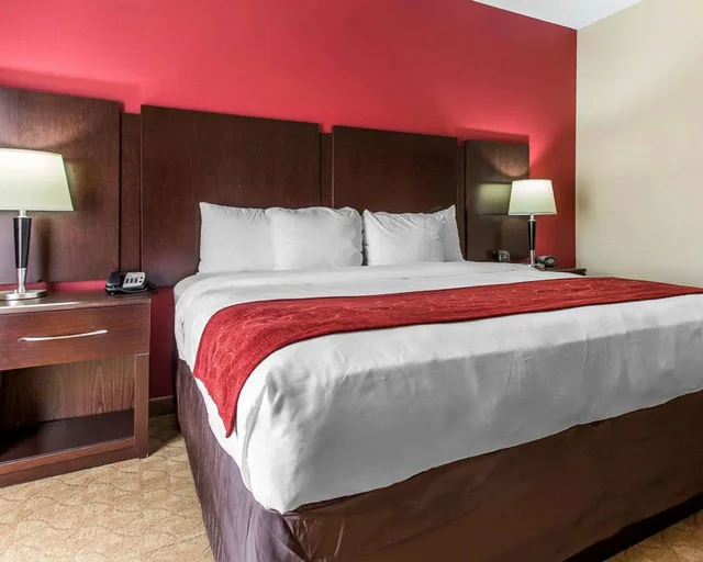 جناح بسرير كينج مع أريكة، Comfort Suites Stockbridge Atlanta South 4/6