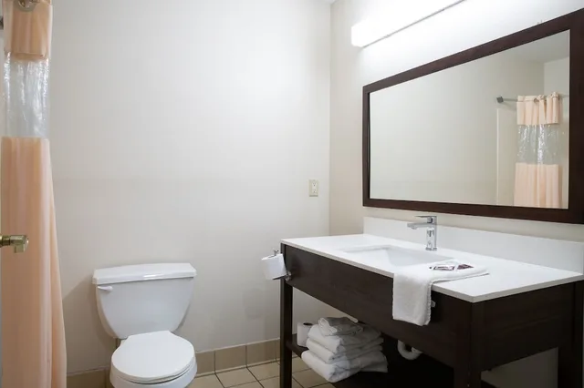 غرفة قياسية بسرير كينج لذوي الإعاقة، BlissPoint Inn and Suites Marion 5/5