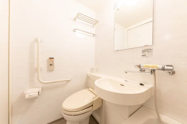 غرفة مفردة للمدخنين، Ban Hotel Tsukiji Ginza 5/5