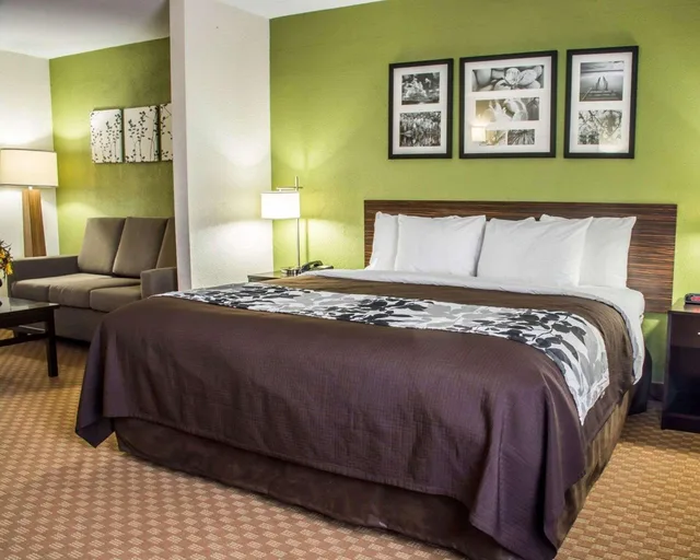 جناح بسرير كينج، Sleep Inn & Suites Cullman I-65 exit 310 1/5