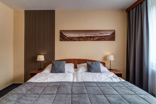 Executive, Double Bed, Best Western Hotel Vista 3/10