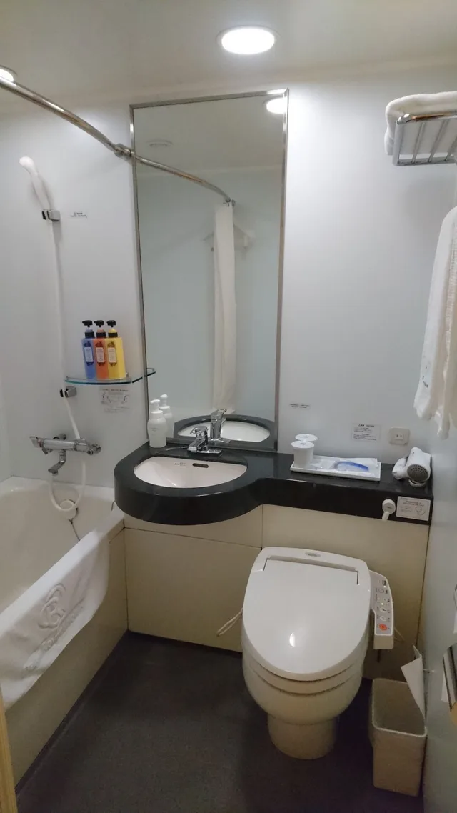 غرفة بسرير مزدوج، Daiwa Roynet Hotel 9/9