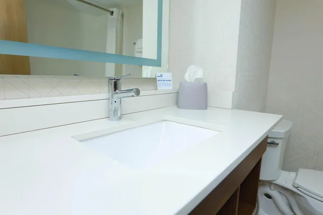 غرفة بسرير مزدوج بحوض استحمام لذوي الإعاقة، Holiday Inn Express Detroit-Birmingham 4/4