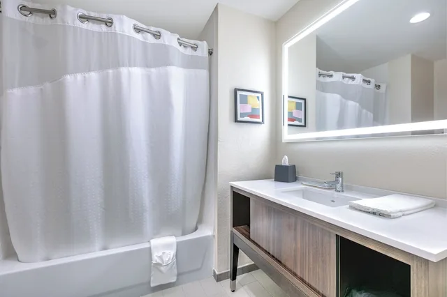 Standard, Queen Bed, Holiday Inn Houma 2/3