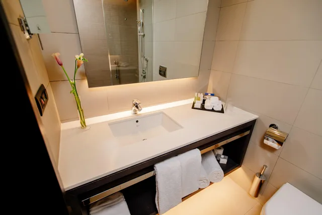غرفة قياسية بسرير كينج مع دخول الصالة، Crowne Plaza Belgrade 7/10