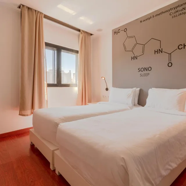 غرفة سوبيريور بسريرين منفصلين، Hotel AS Lisboa 1/8