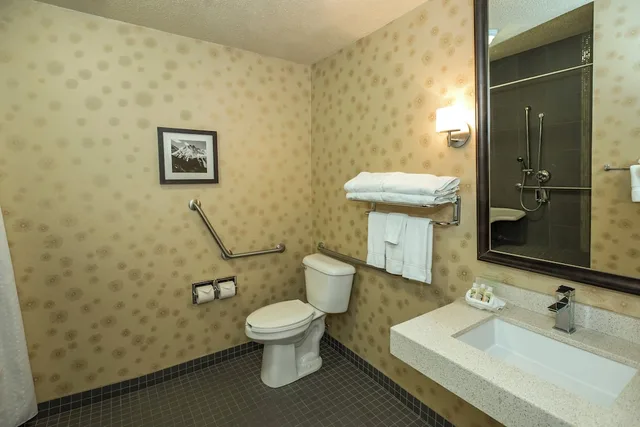 غرفة قياسية بسرير كوين لذوي الإعاقة، HOLIDAY INN LETHBRIDGE 7/10