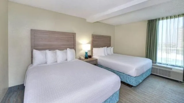 استوديو بسرير كوين لذوي الإعاقة، El Caribe Resort & Conference Center 1/4