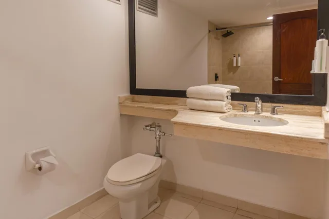 Superior, Queen Bed, Hotel Faranda Express Puerta Del Sol Barranquilla, A Member of Radisson Individuals 4/4